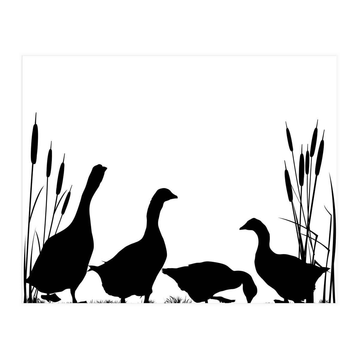 Goose talk (Print Only)