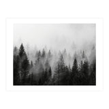 Black and White Forest (Print Only) thumbnail