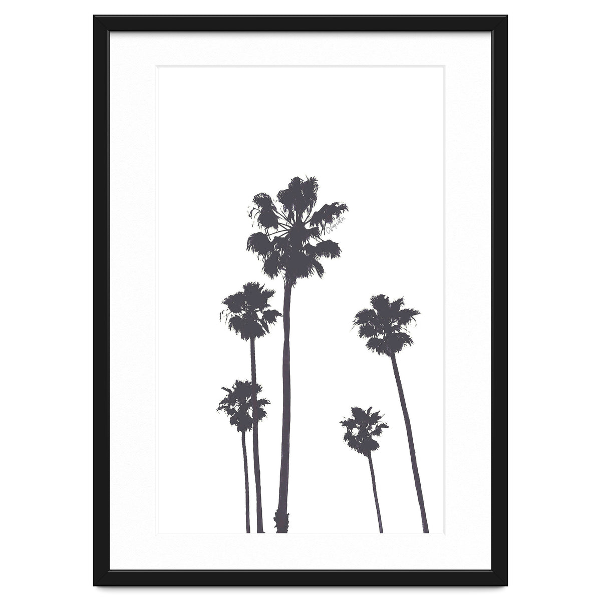 Palms & Sunset-Minimal B&W 2