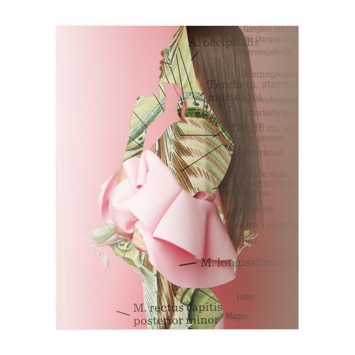 Crazy Woman 201 (Print Only)