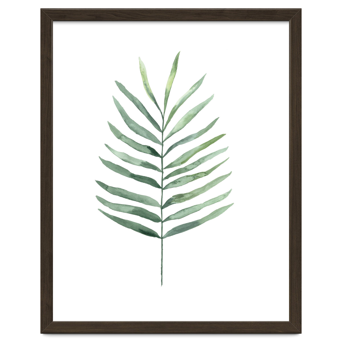Botanical Illustration Fern