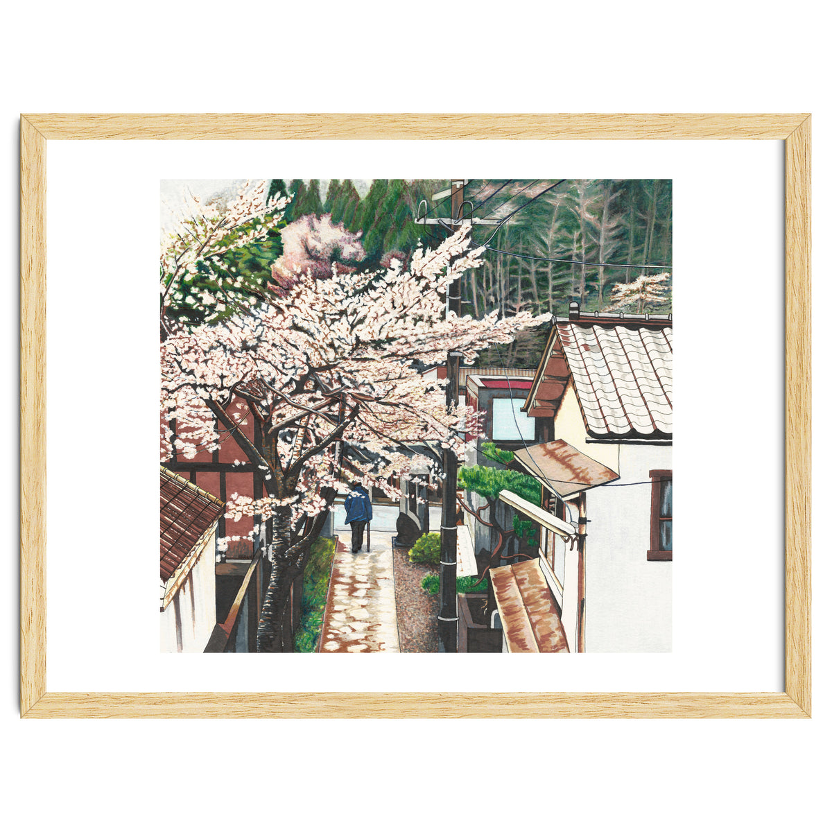 Passing by Cherry Blossoms