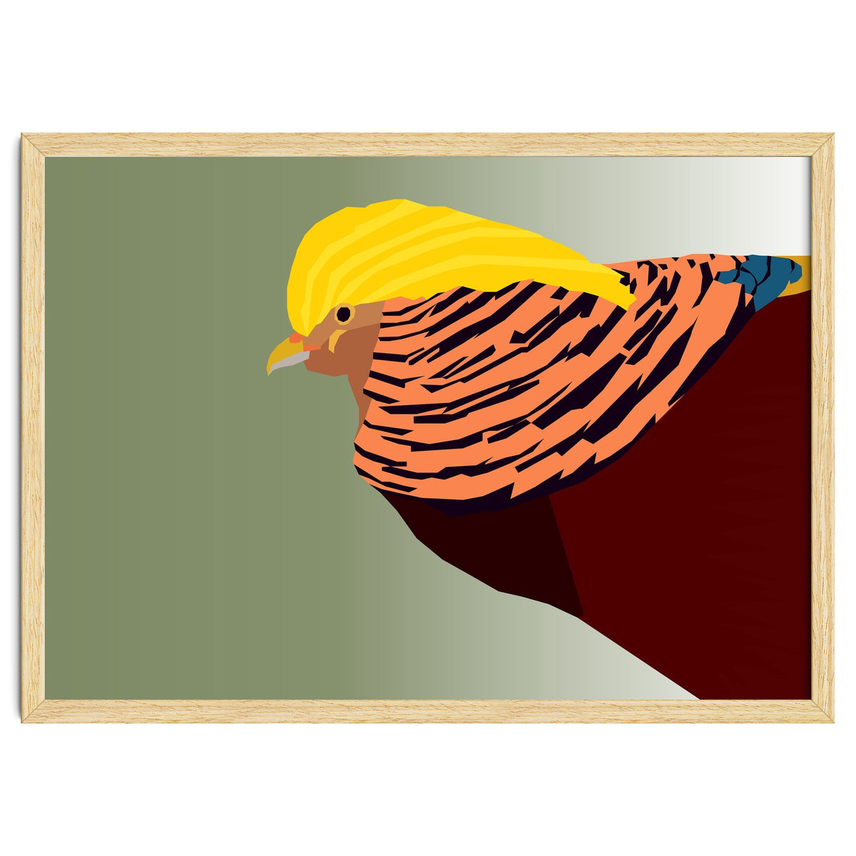 Golden Pheasant Bird Art