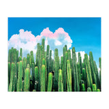Cactus Summer (Print Only) thumbnail