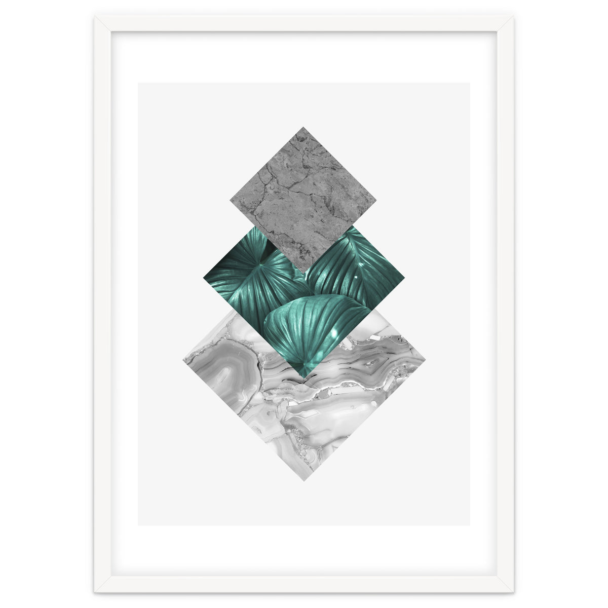 Botanical and geometric V