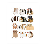 Guinea Pigs in Glasses (Print Only) thumbnail