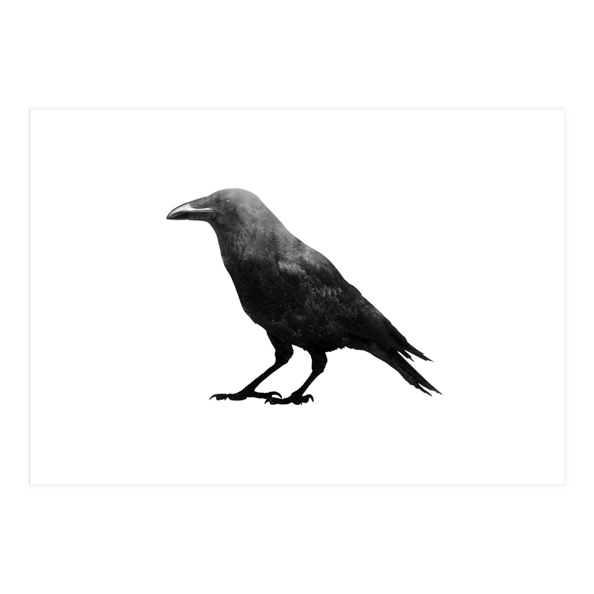 Crowscape (Print Only)