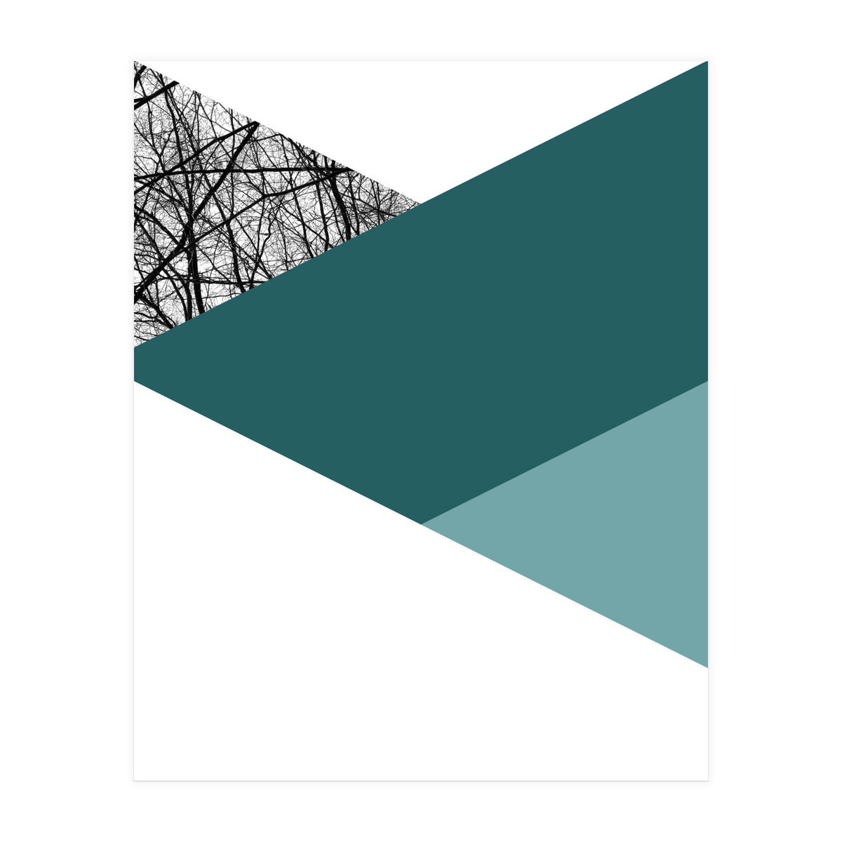 TRIWOOD I (Print Only)