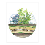 A Little Green Terrarium (Print Only) thumbnail