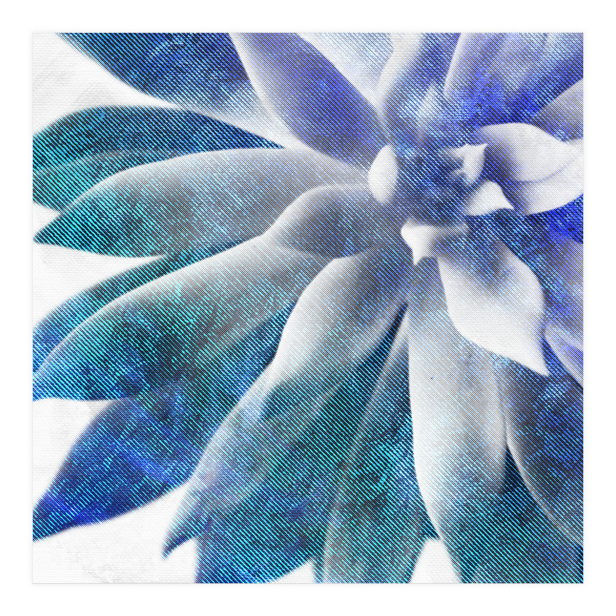 Rough Beauty 3 (Print Only)