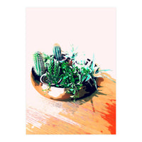 Cacti In A Copper Pot (Print Only)