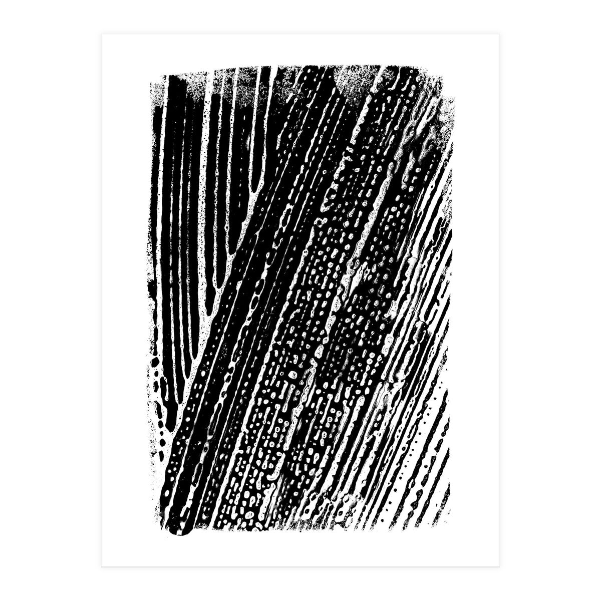 Dizzy 2 (Print Only)