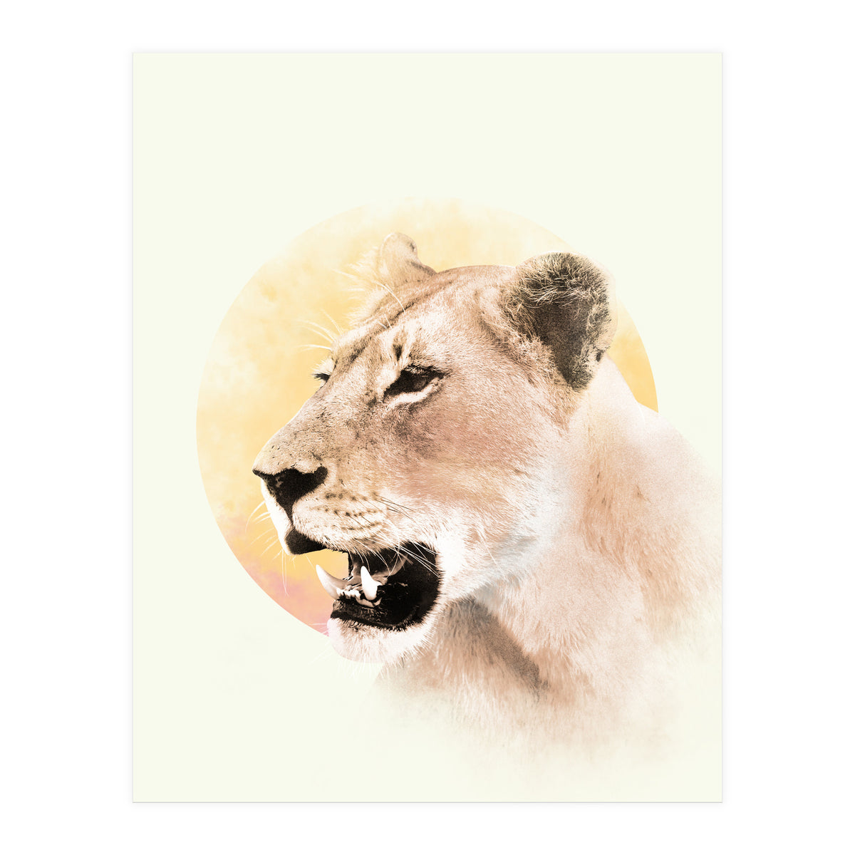Lioness (Print Only)