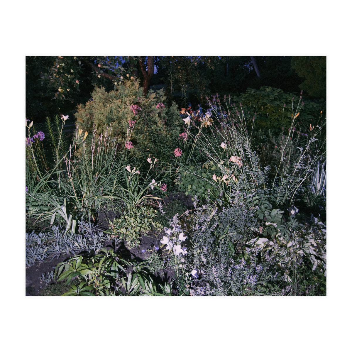 Picture Postcard Perfect (Print Only)