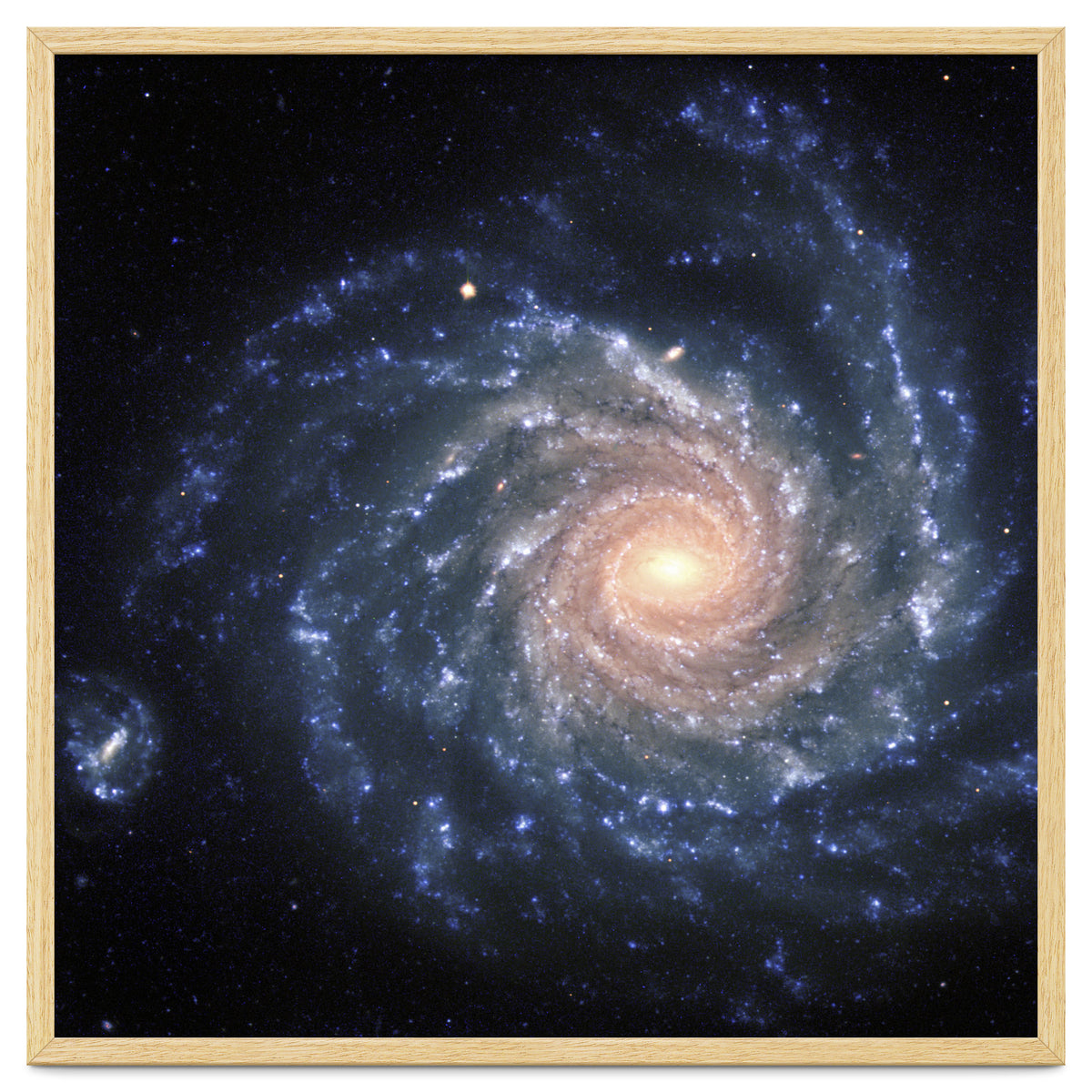 Spiral Galaxy NGC 1232
