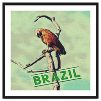 Eagle in Brazil