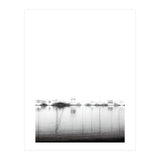 Ghost Ships (Print Only) thumbnail
