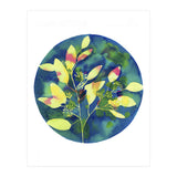 Winter Eucalyptus  (Print Only) thumbnail