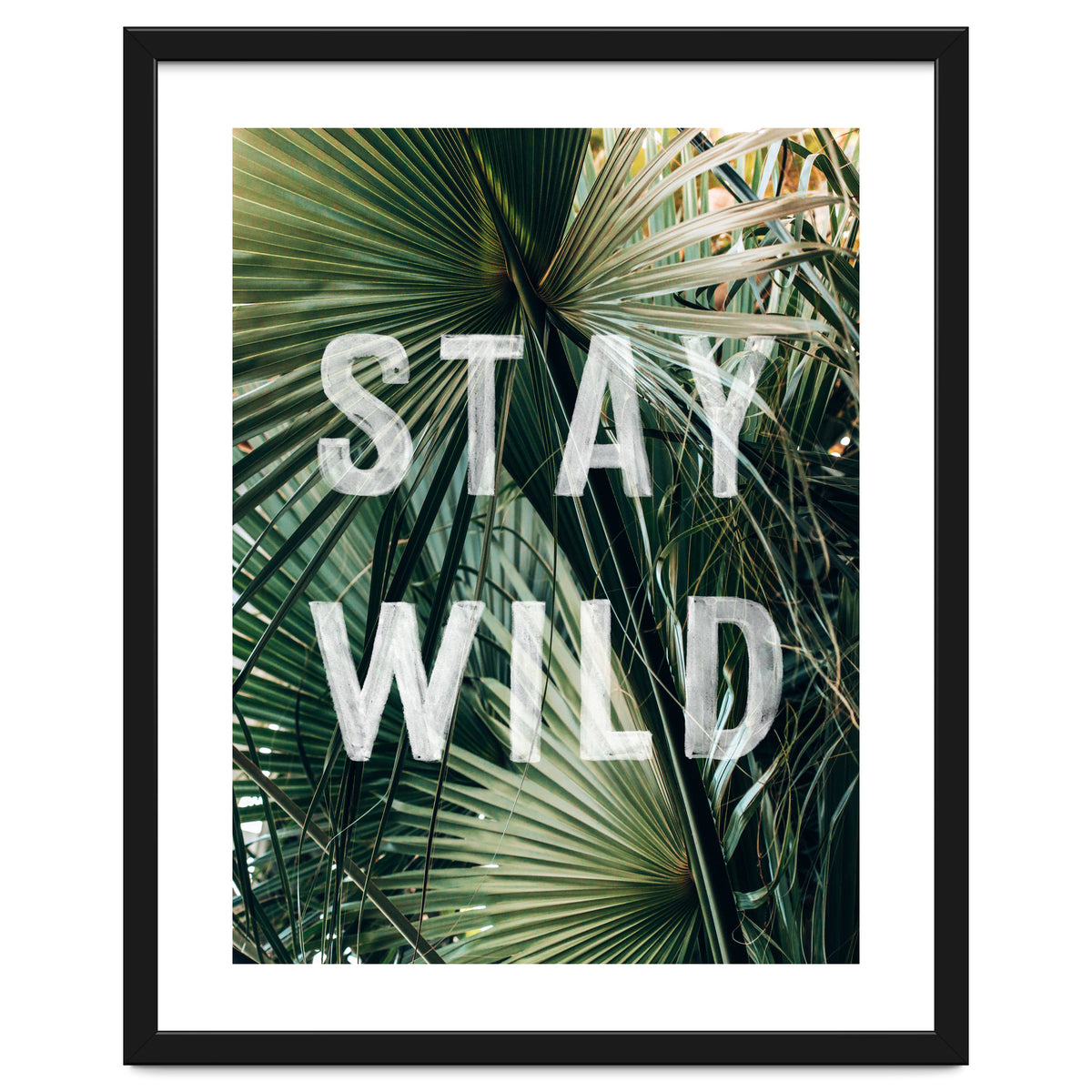 Stay Wild