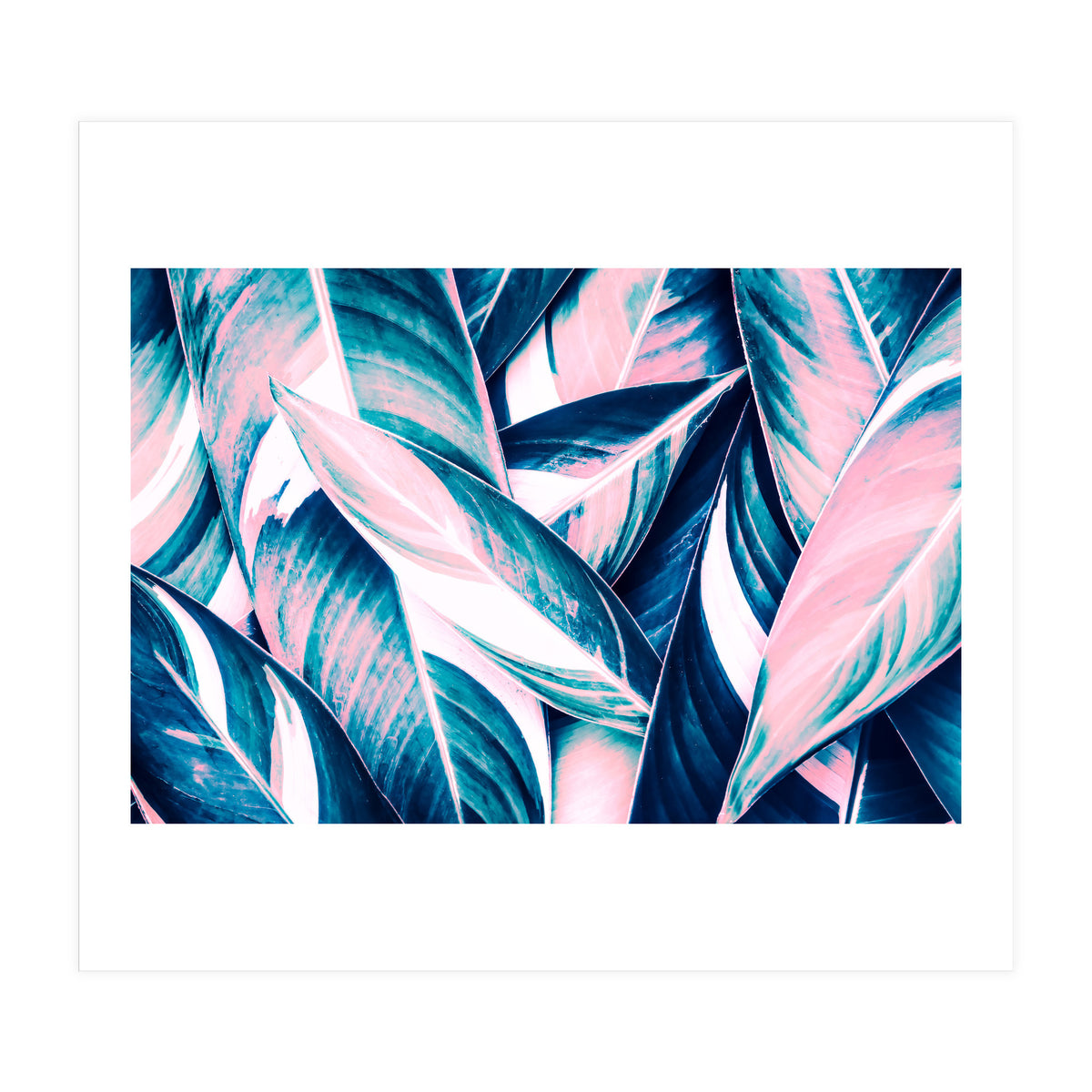 Botanical leaf pink and blue (Print Only)