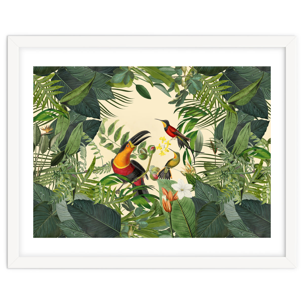 Green Jungle Toucans 2