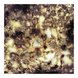 Demolition (Print Only) thumbnail