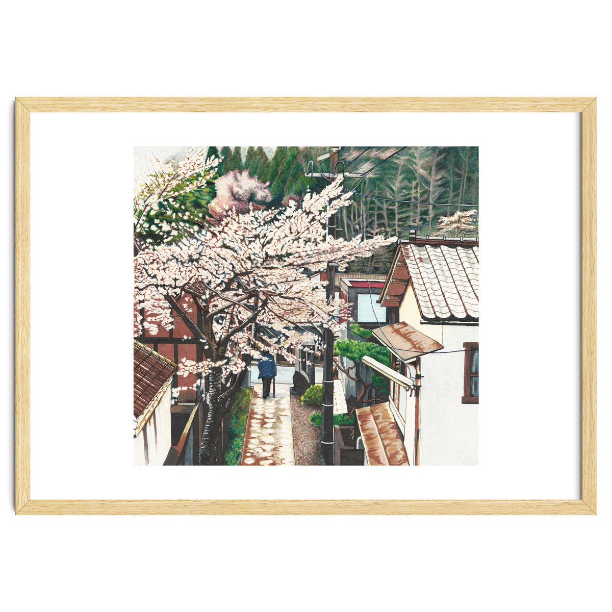 Passing by Cherry Blossoms