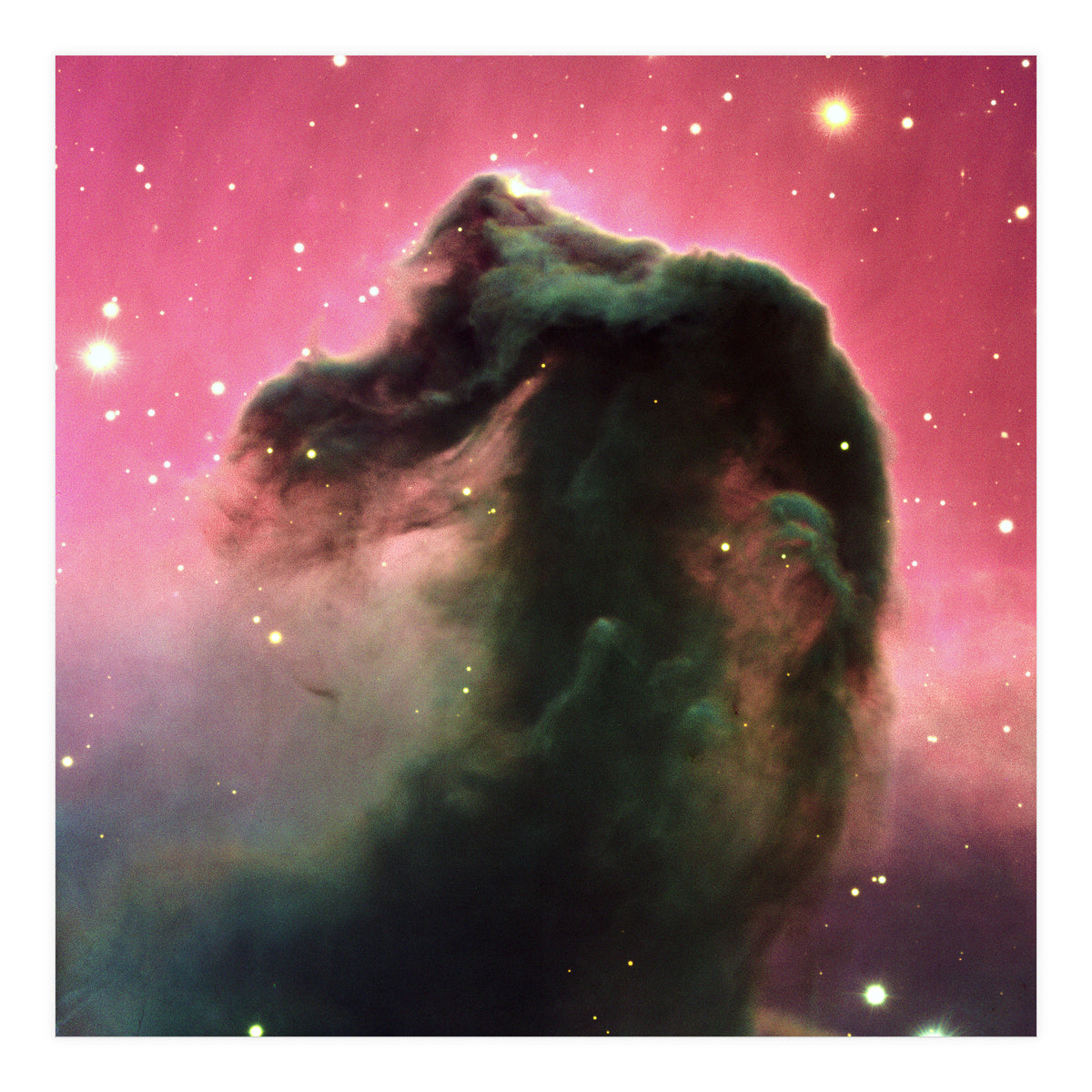 The Horsehead Nebula (Print Only)