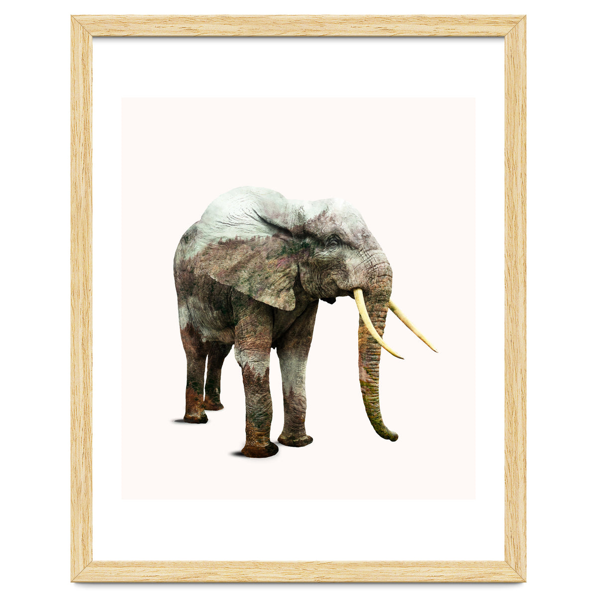 Elephant Transformation