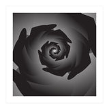 Diamond Spiral (Print Only) thumbnail
