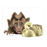 Monkey and Duckling (Print Only) thumbnail