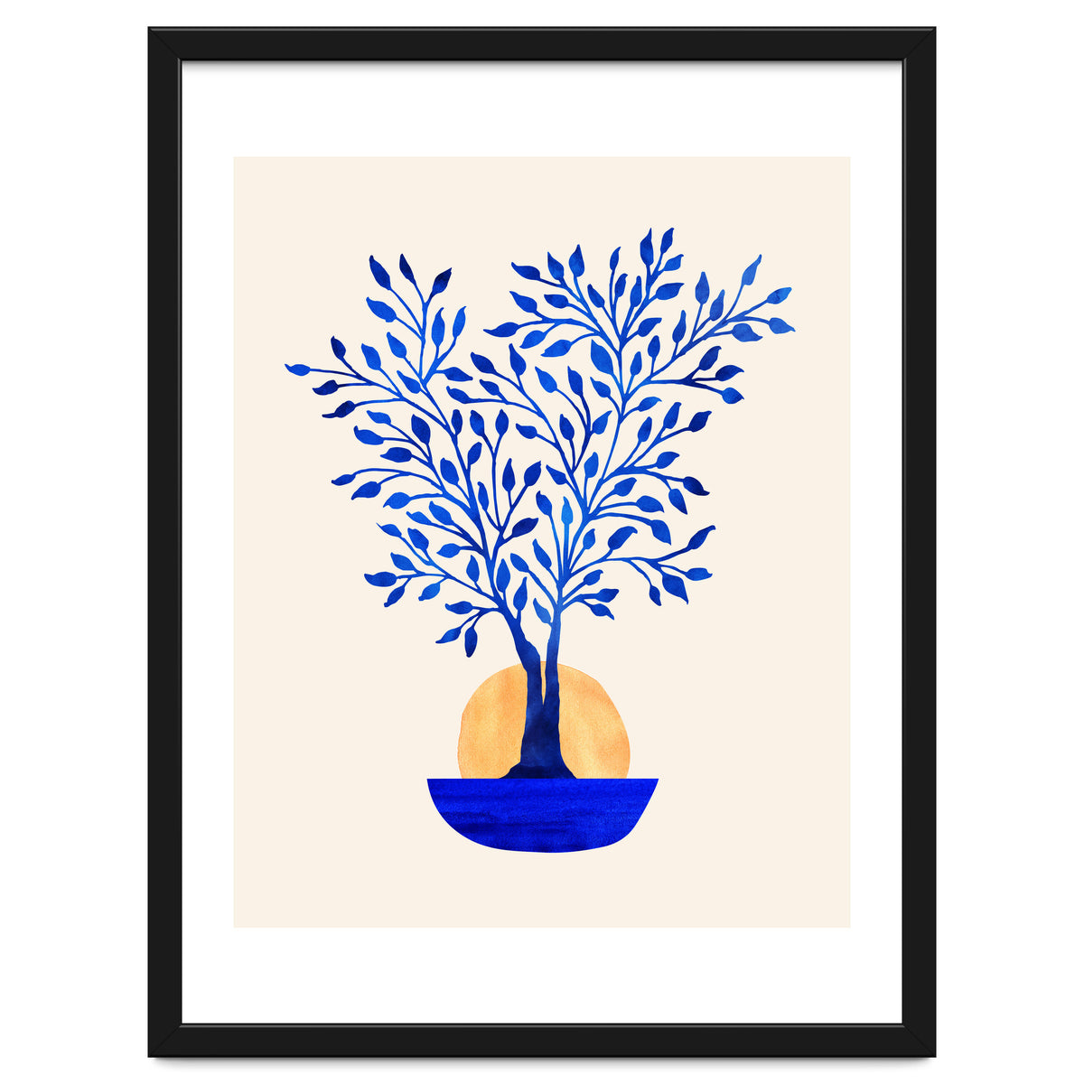 Indigo Ficus Sunrise