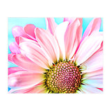 PInk Dahlia (Print Only) thumbnail