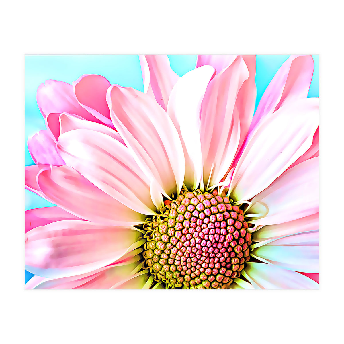 PInk Dahlia (Print Only)