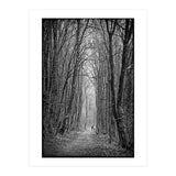 Forest path (Print Only) thumbnail