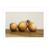 Onions (Print Only) thumbnail