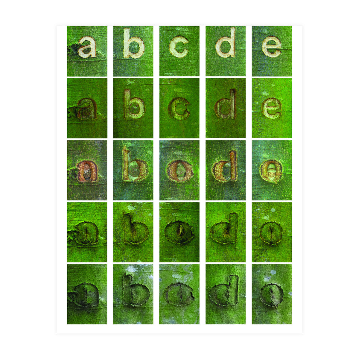 abcde (Print Only)