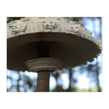 Shelter In The Woods (Print Only) thumbnail