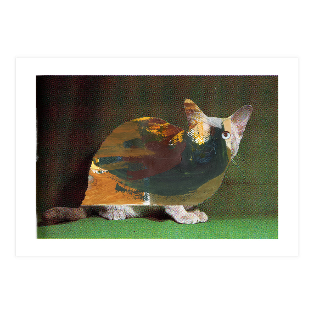 Color Cat (Print Only)