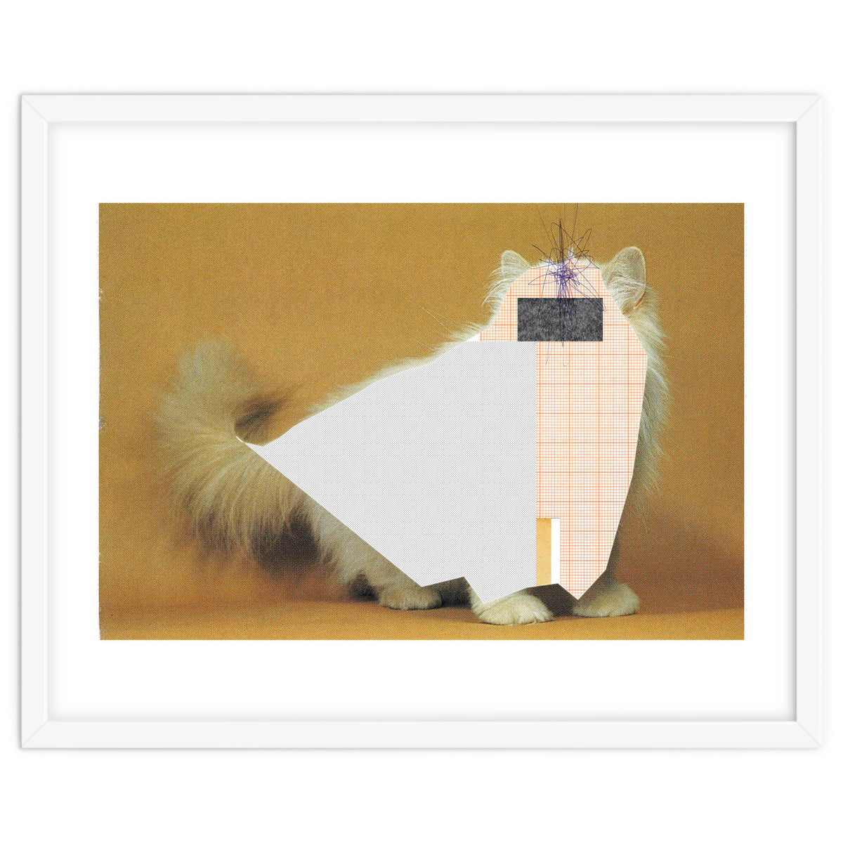 Content Of The Cat 1