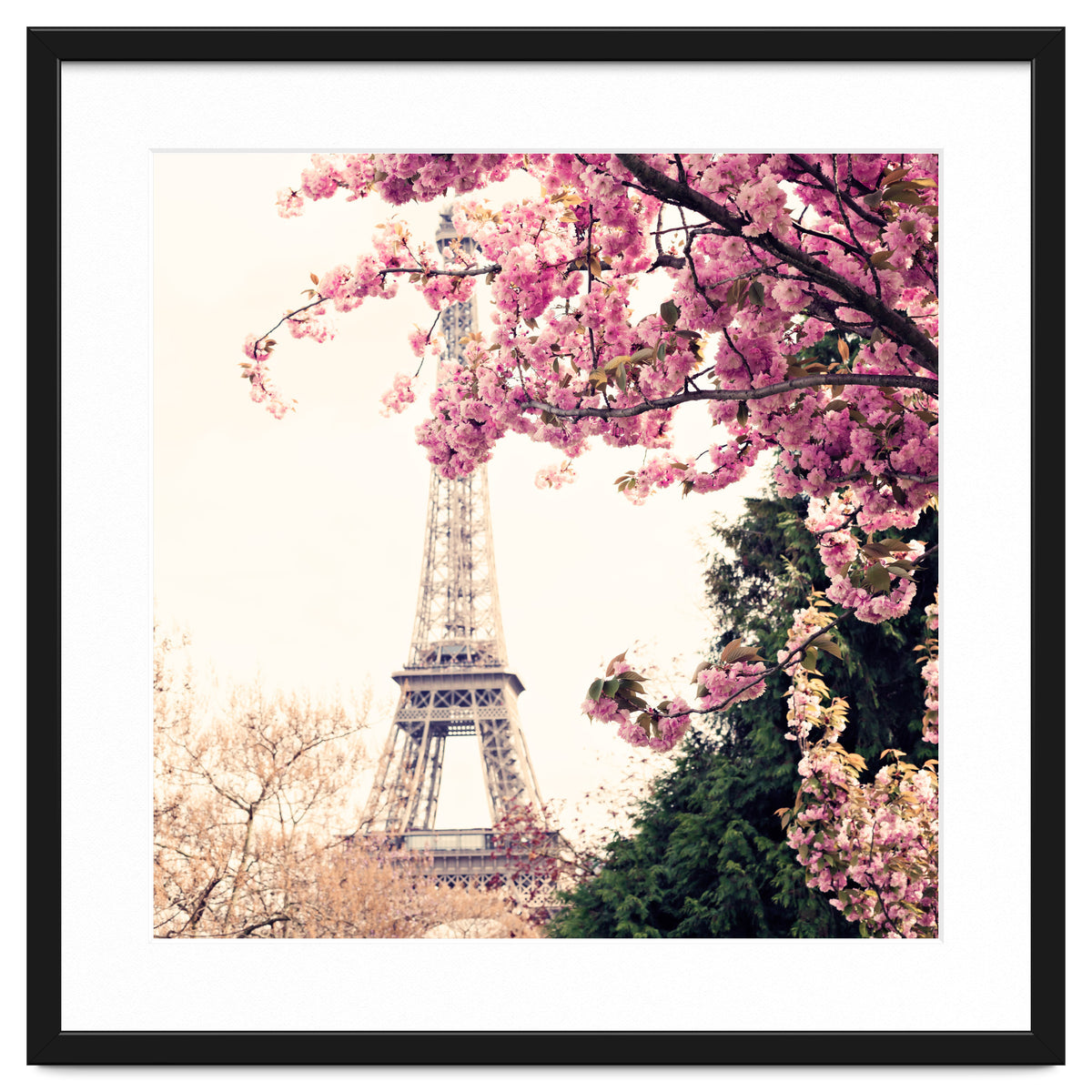 Paris in the Spring