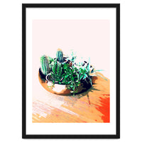 Cacti In A Copper Pot