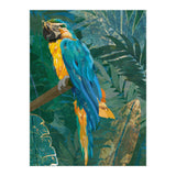 Macaw Meditation in the tropical jungle (Print Only) thumbnail