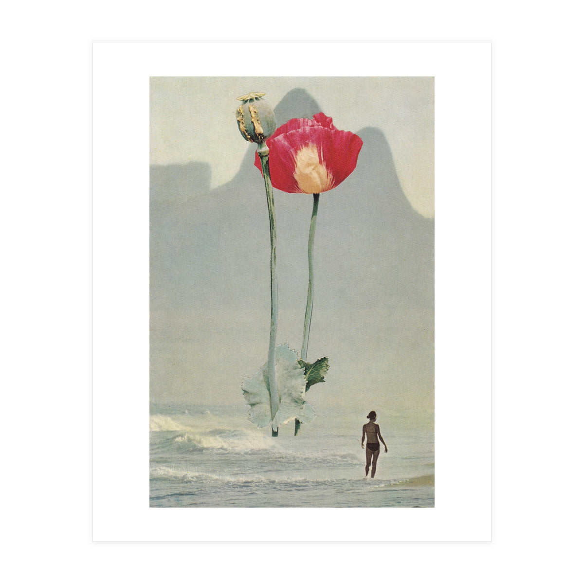 High (Print Only)