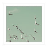 Mint Skies (Print Only) thumbnail