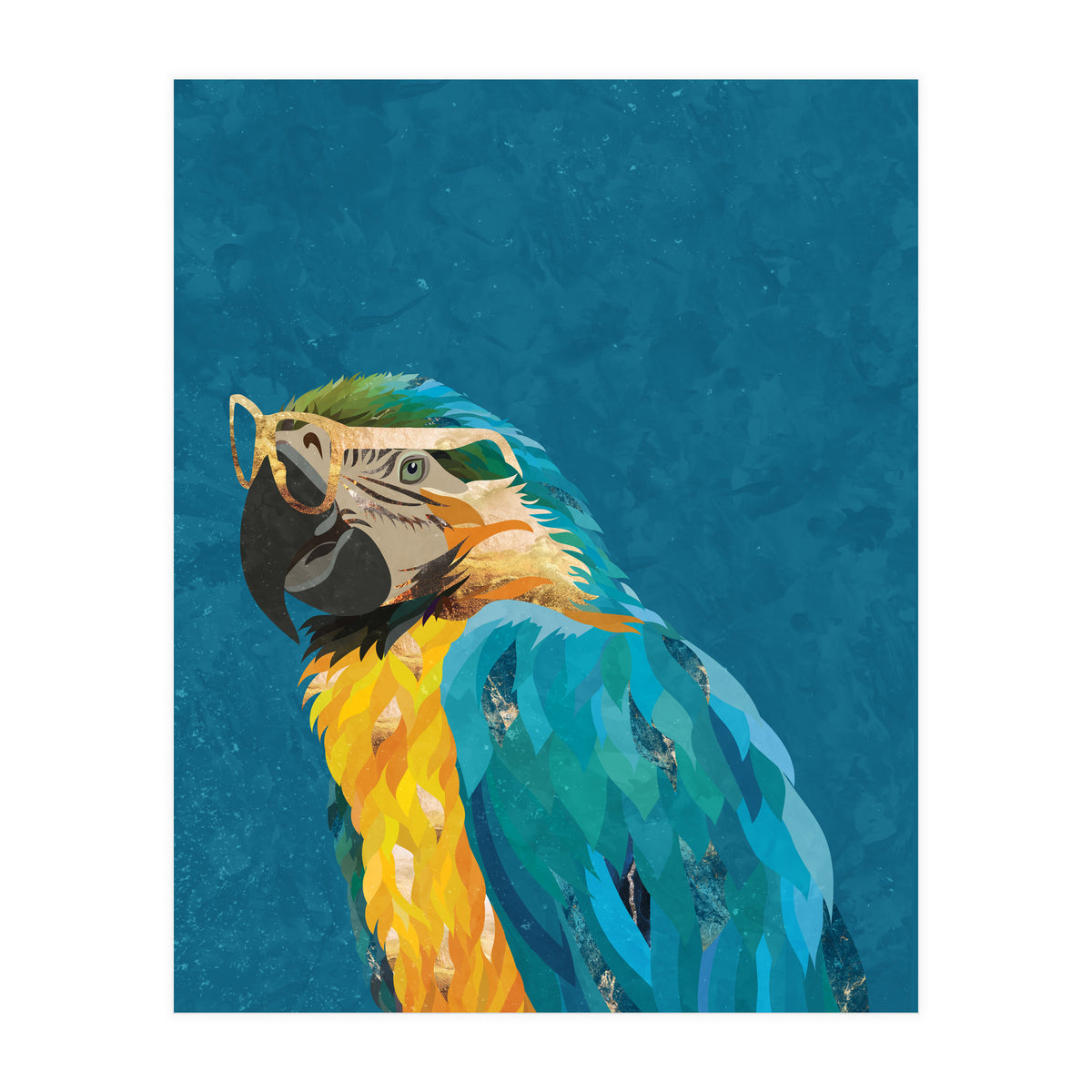 Macaw Portrait Blue Gold Glasses (Print Only)