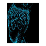 Teal Barn Owl (Print Only) thumbnail