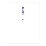 Lavender twig (Print Only) thumbnail
