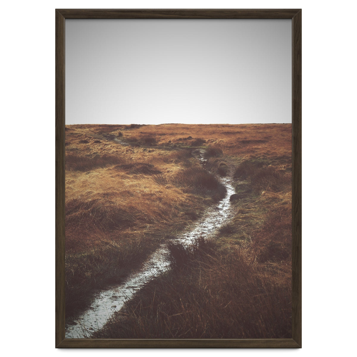 Bleak winter landscape of Saddleworth Moor