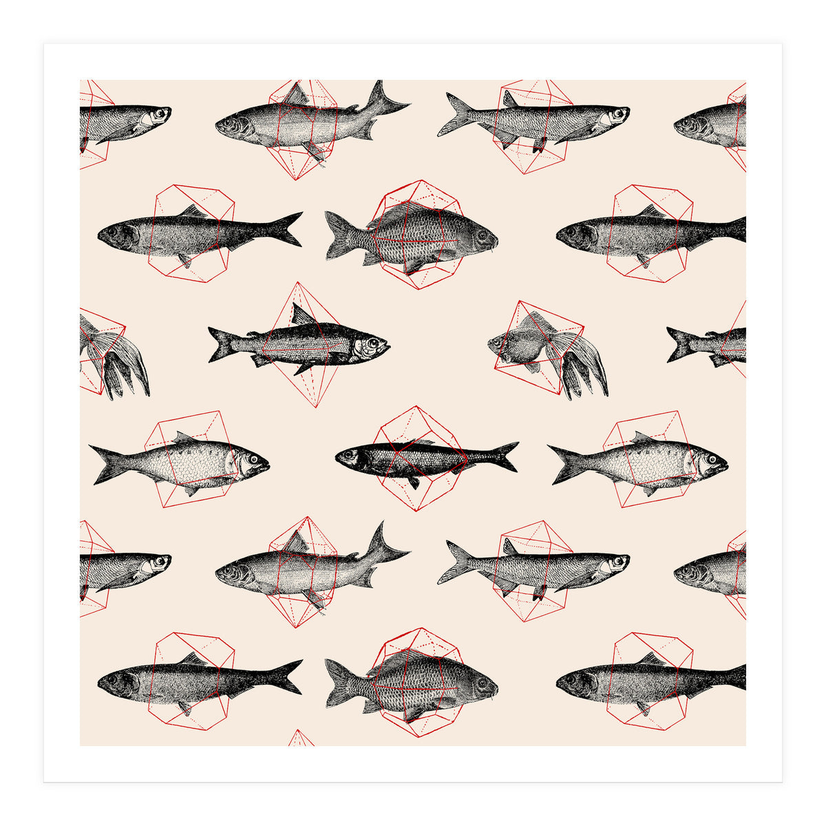 Fish In Geometrics  (Print Only)